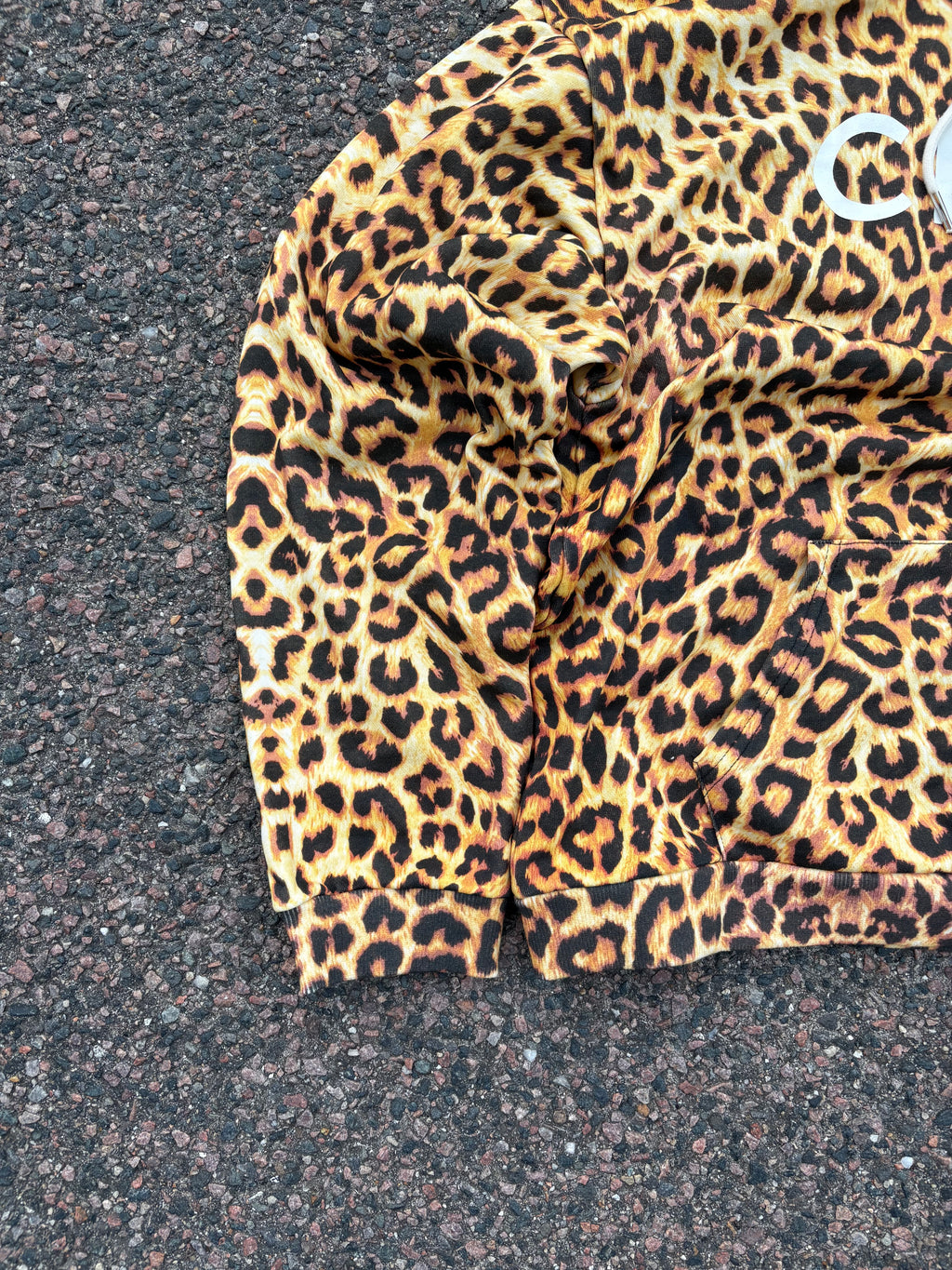 Celine SS24 leopard hoodie