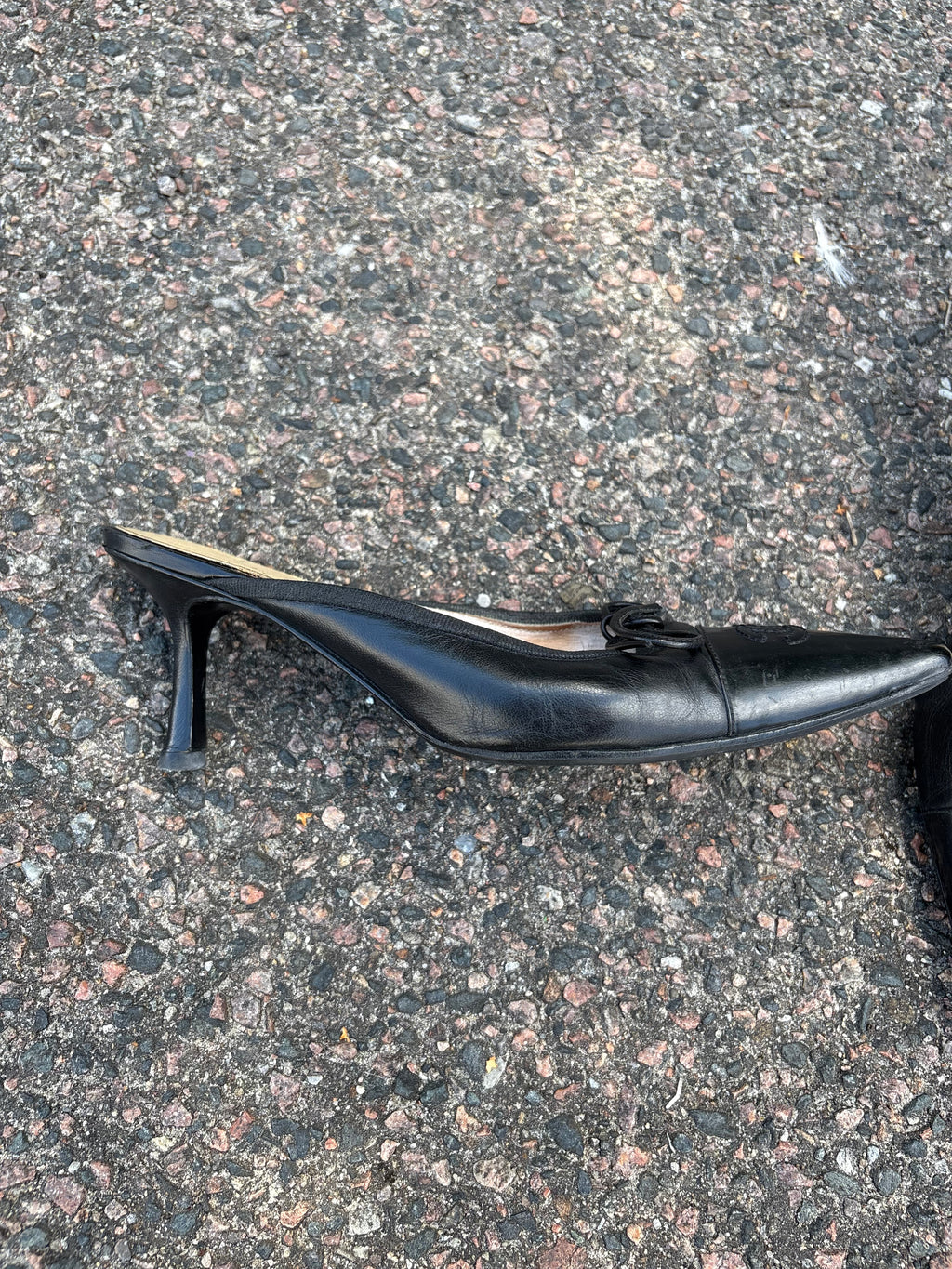 Chanel Slingback plumps black