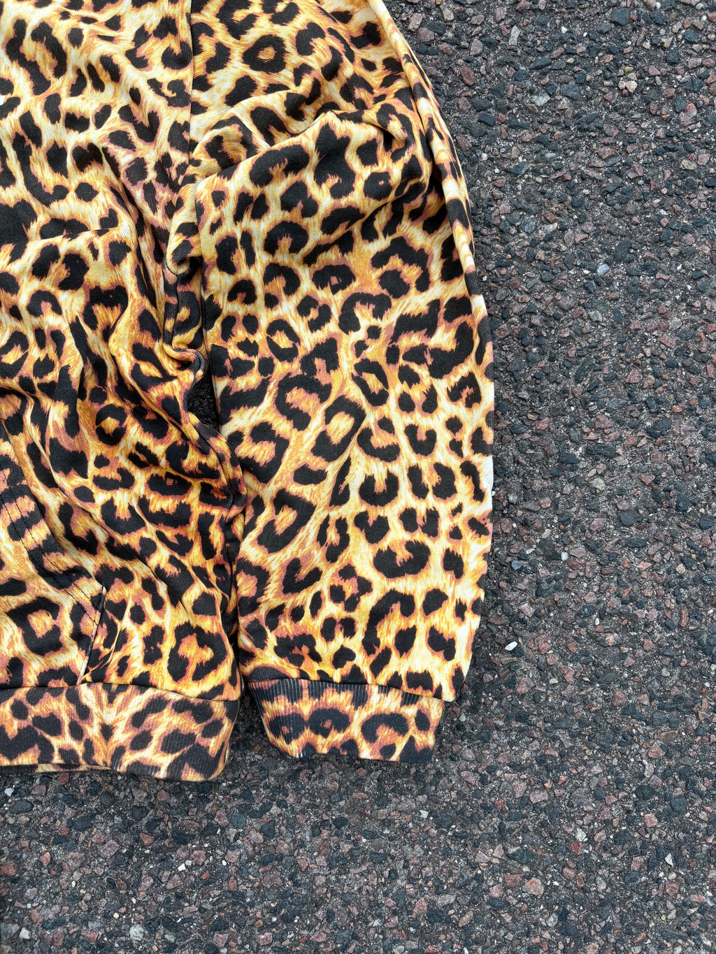 Celine SS24 leopard hoodie